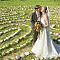 hochzeiten-2008-4.jpg